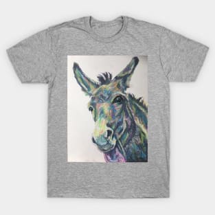 Cheeky scruffy colourful donkey T-Shirt